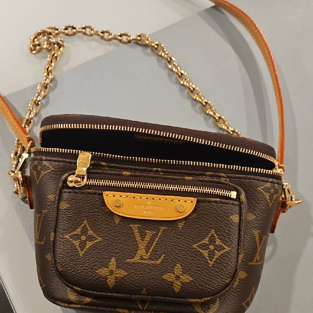 Louis Vuitton Mini Bum Bag